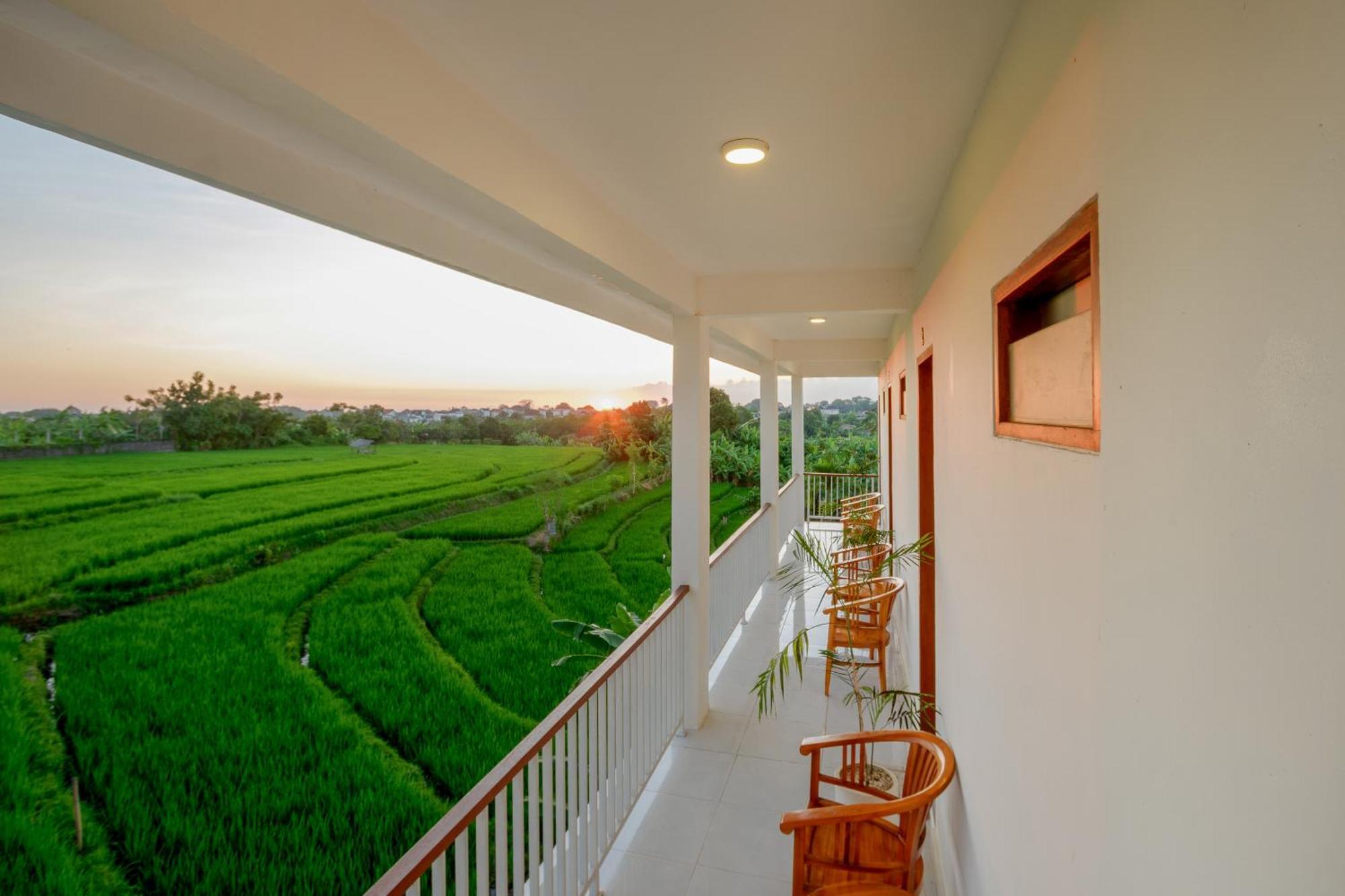 Eden Guest House Canggu 외부 사진