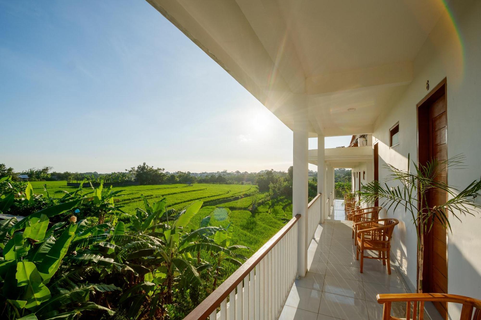 Eden Guest House Canggu 외부 사진