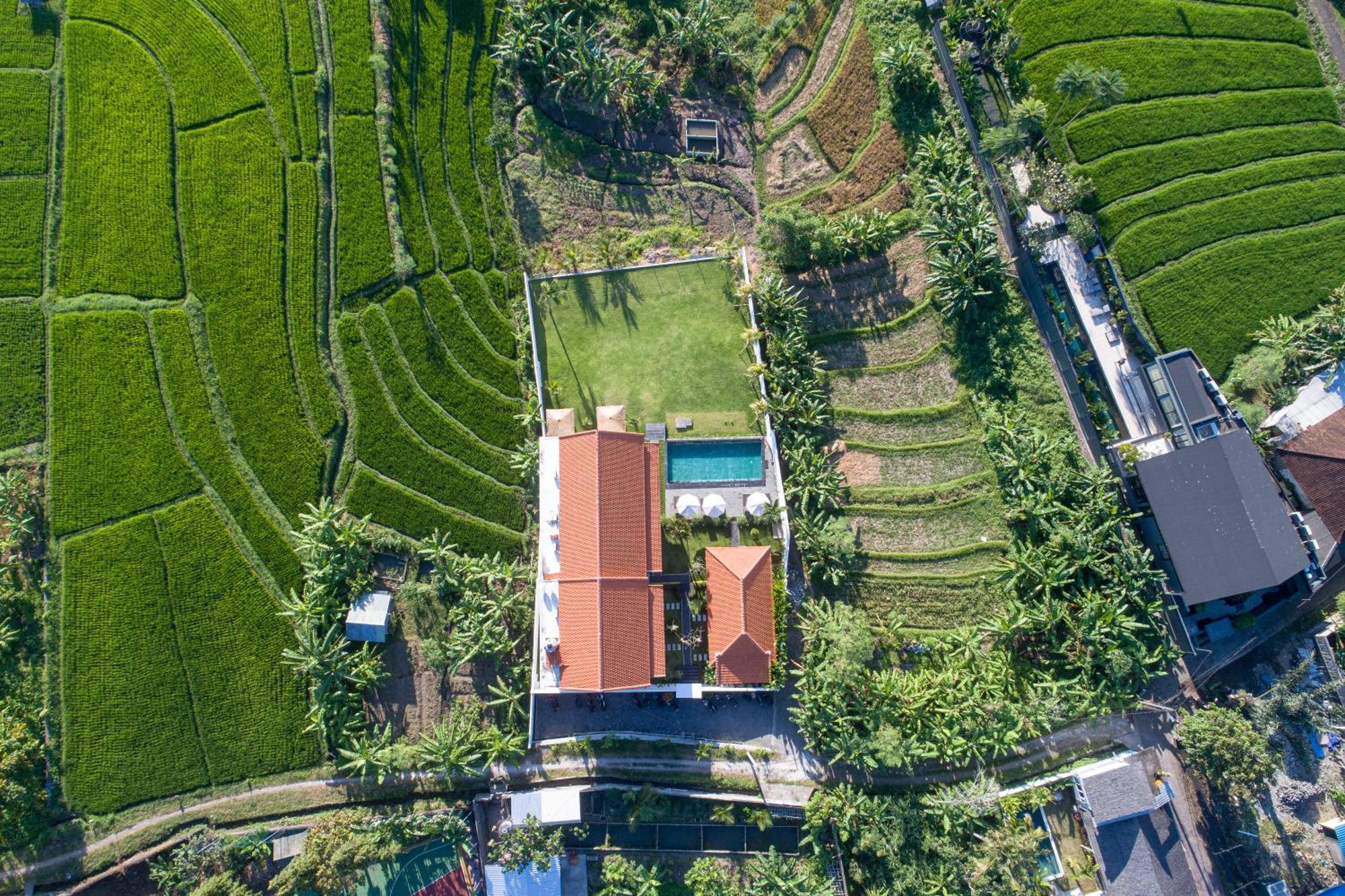 Eden Guest House Canggu 외부 사진